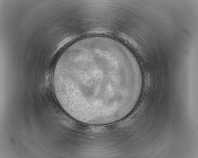 X0000110991258200907311002