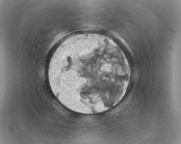 X0000110991259200907311002
