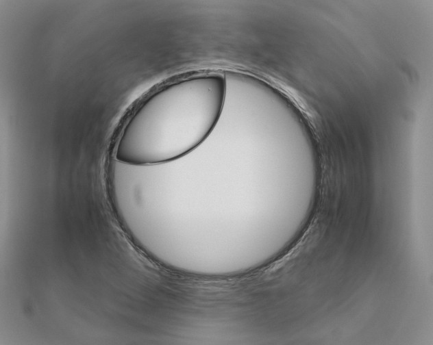 X0000110991264200907311002