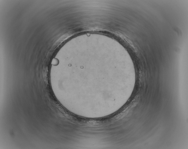 X0000110991265200907311002