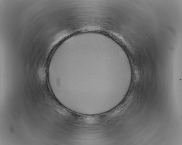 X0000110991266200907311002