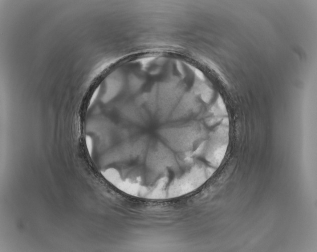 X0000110991267200907311002