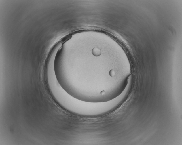 X0000110991269200907311002