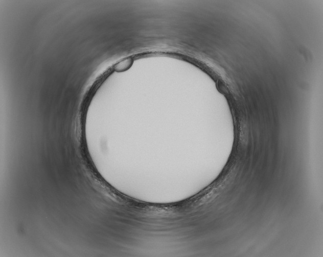 X0000110991270200907311002