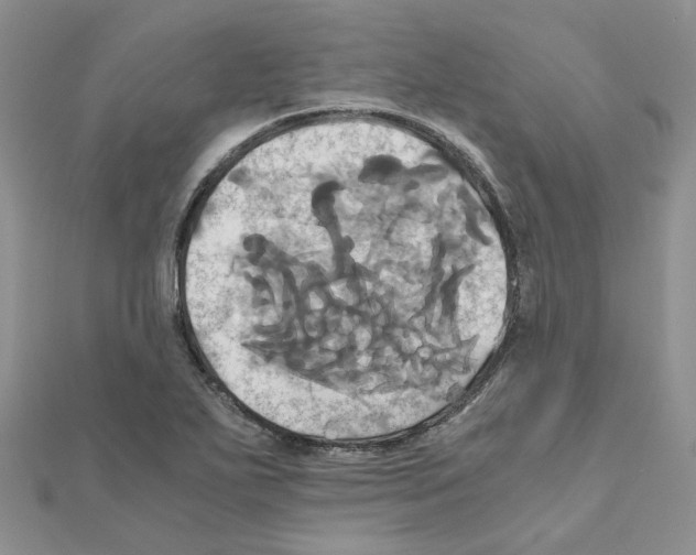 X0000110991271200907311002