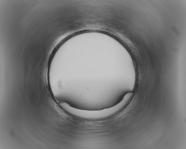 X0000110991272200907311002