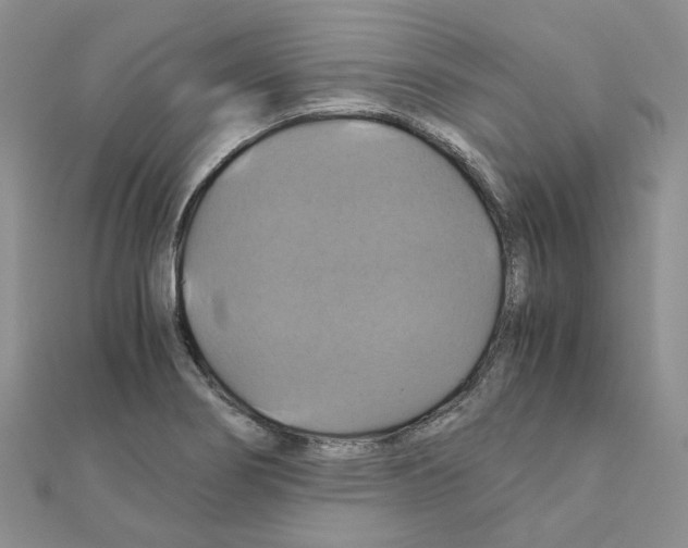 X0000110991274200907311002