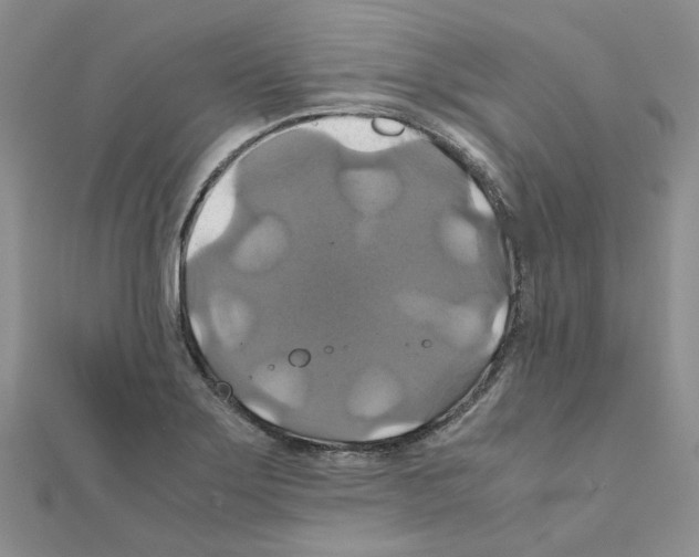 X0000110991275200907311002
