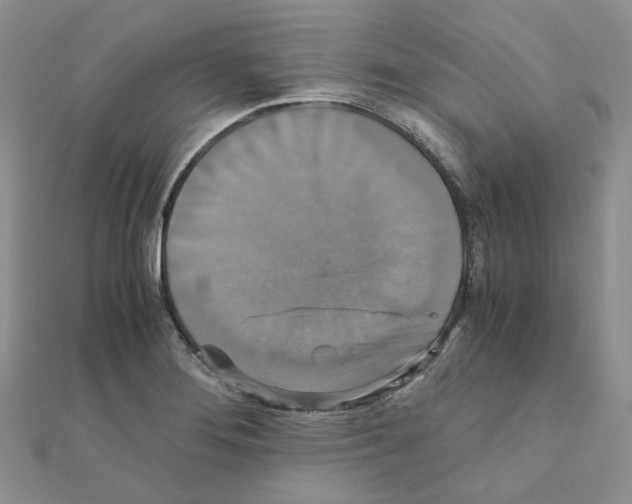 X0000110991276200907311002
