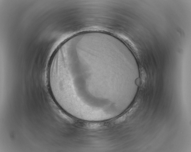 X0000110991278200907311002