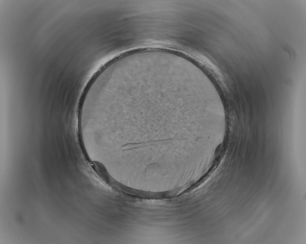 X0000110991280200907311002