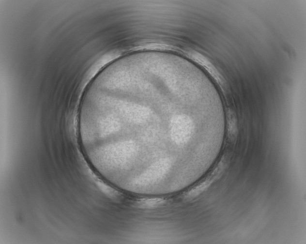 X0000110991282200907311002