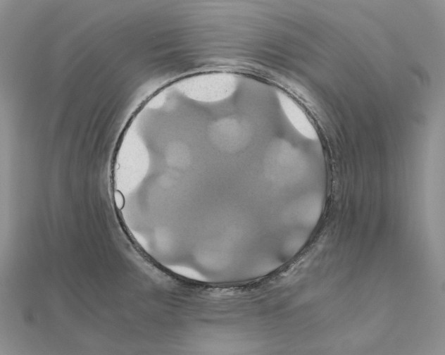 X0000110991283200907311002