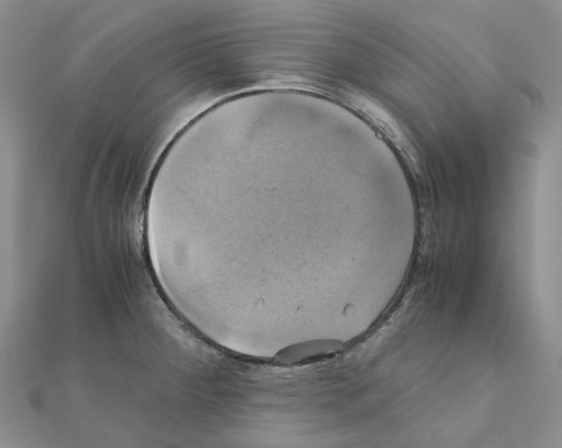 X0000110991284200907311002