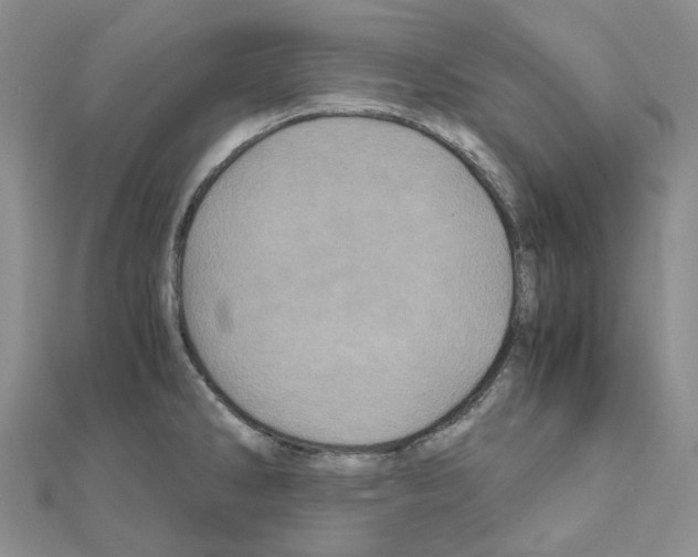 X0000110991286200907311002