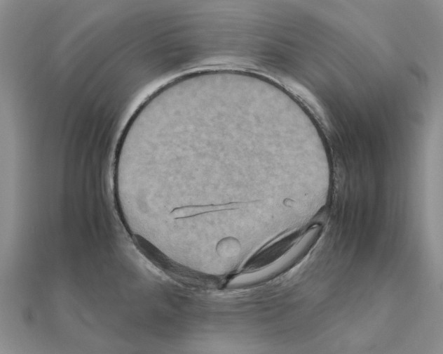 X0000110991288200907311002