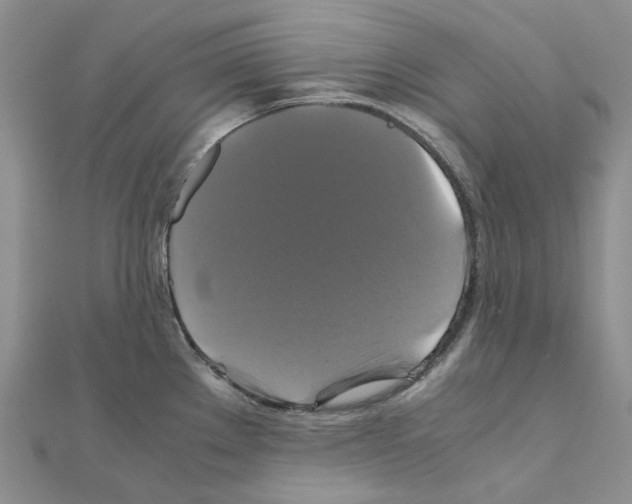 X0000110991289200907311002