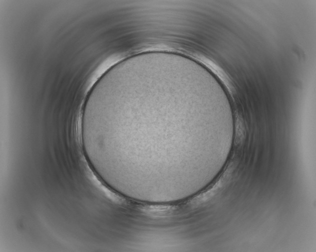 X0000110991290200907311002