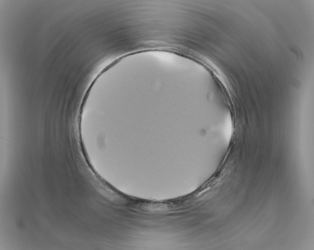 X0000110991291200907311002