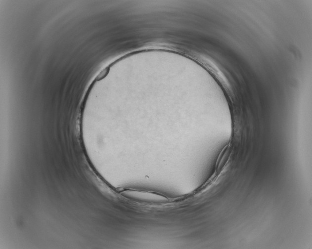 X0000110991292200907311002