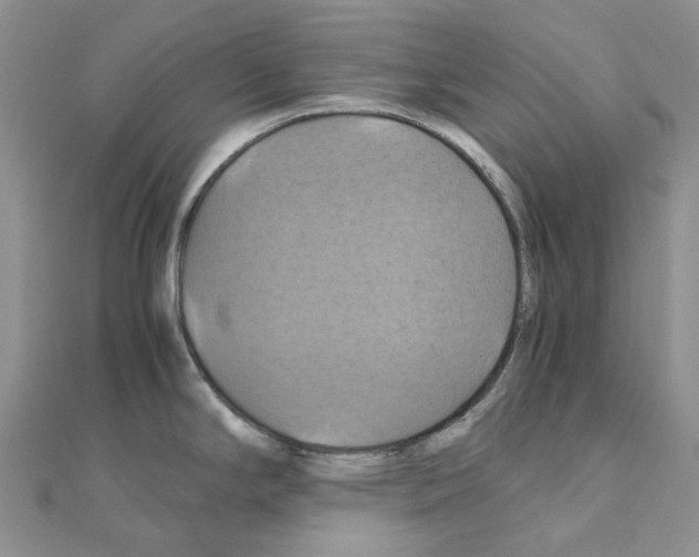 X0000110991294200907311002