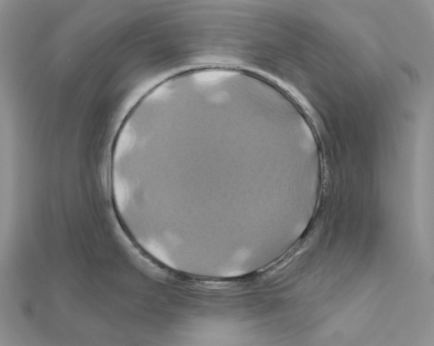 X0000110991295200907311002