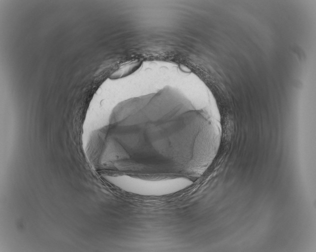 X0000110991297200907311001