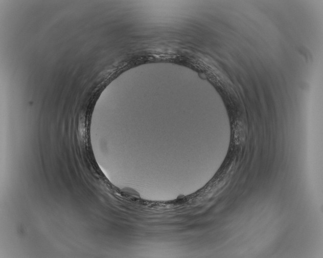X0000110991298200907311001