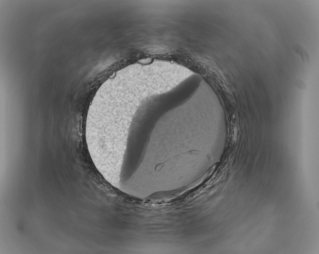 X0000110991301200907311001