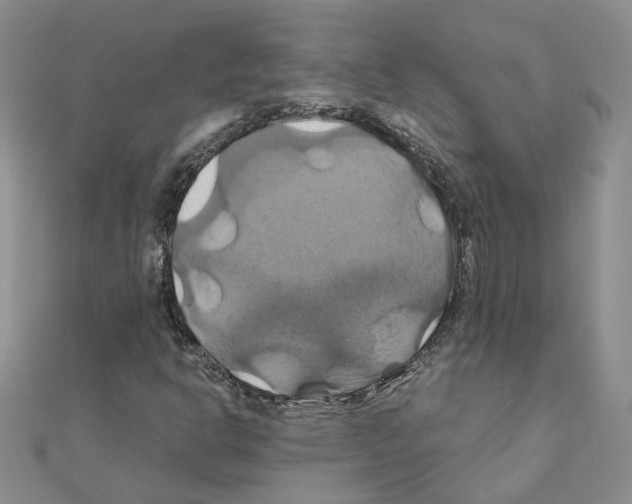 X0000110991302200907311001