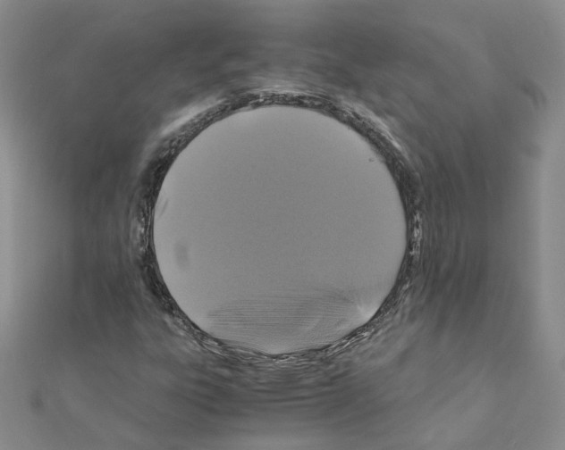 X0000110991303200907311001