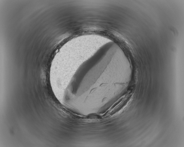X0000110991305200907311001