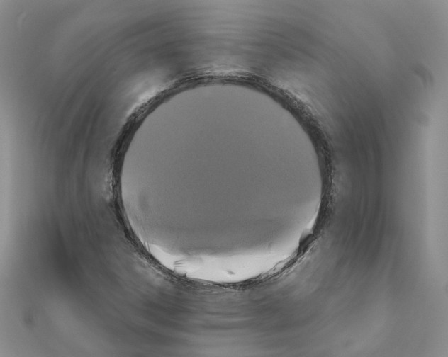 X0000110991306200907311001