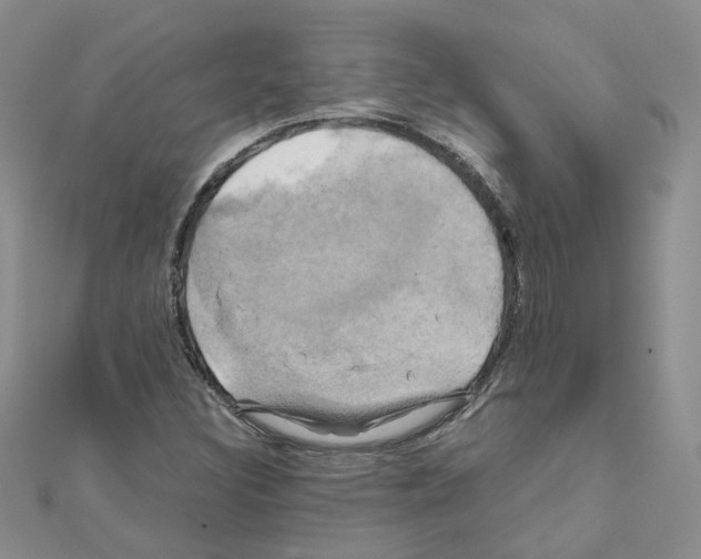 X0000110991308200907311001