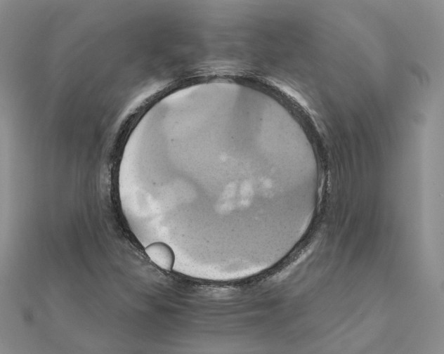 X0000110991309200907311001