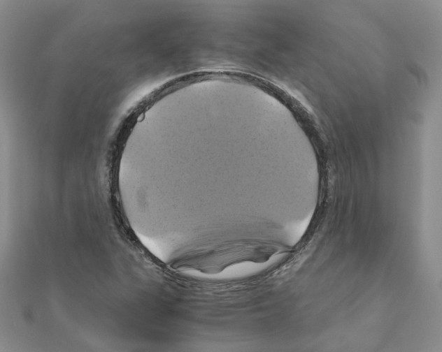 X0000110991311200907311001