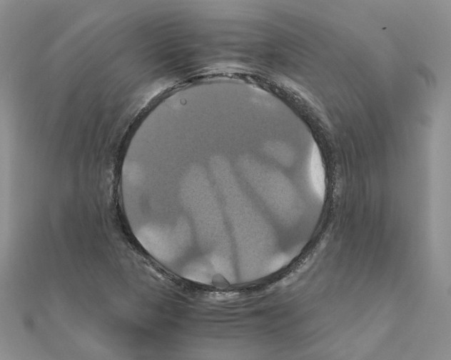 X0000110991313200907311001