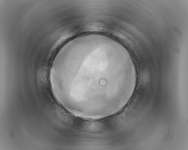 X0000110991314200907311001