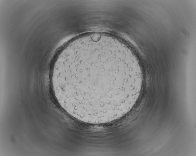 X0000110991315200907311001