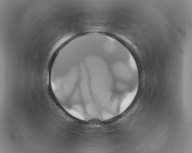 X0000110991317200907311001