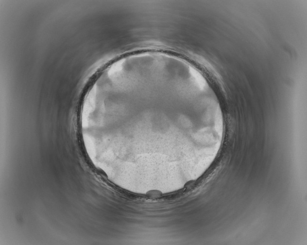 X0000110991318200907311002
