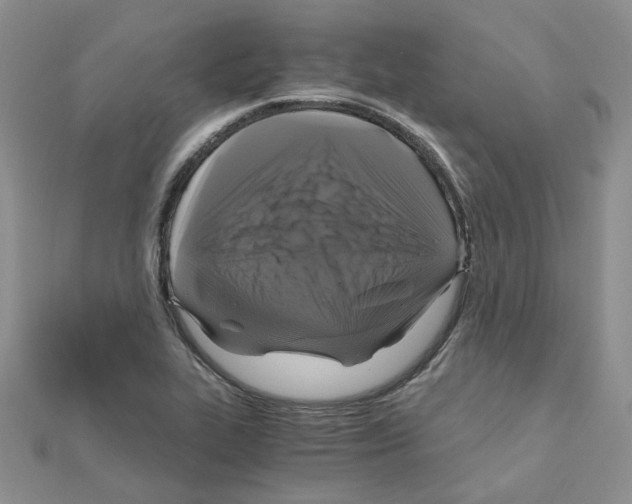 X0000110991319200907311002