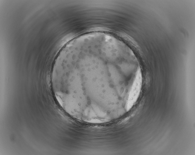 X0000110991321200907311002