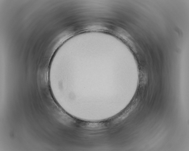 X0000110991322200907311002