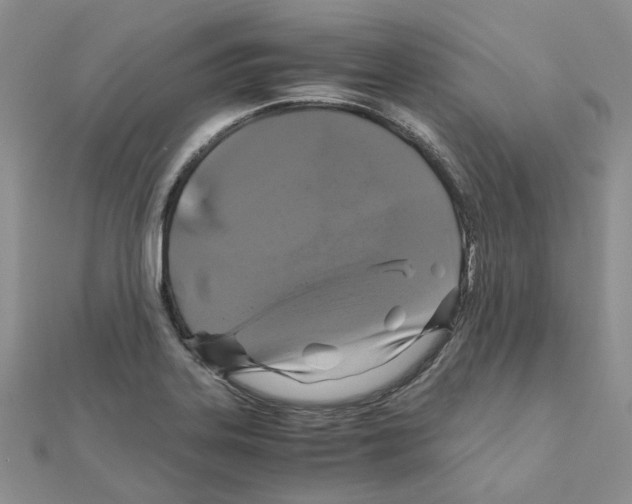 X0000110991323200907311002