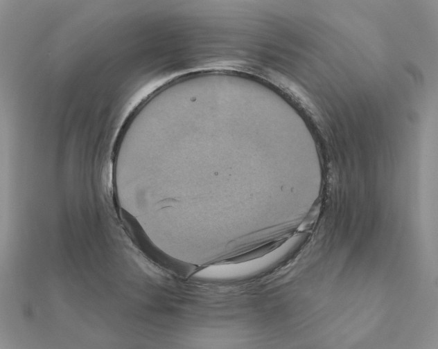X0000110991324200907311002