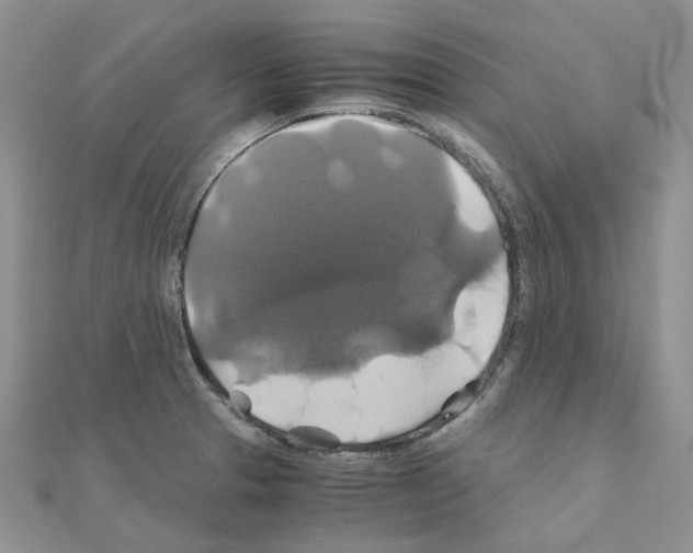 X0000110991329200907311002