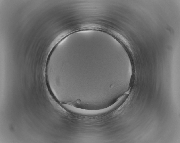 X0000110991330200907311002