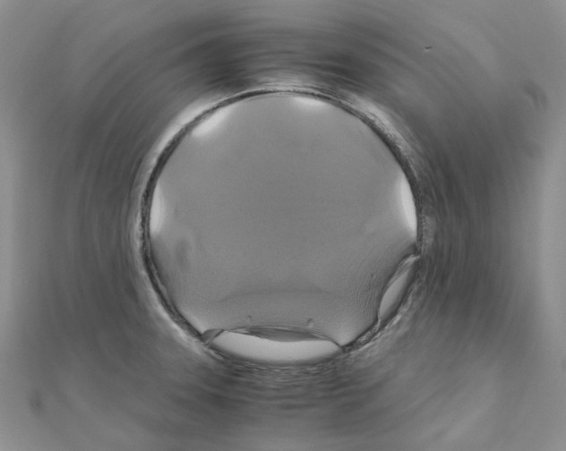 X0000110991331200907311002