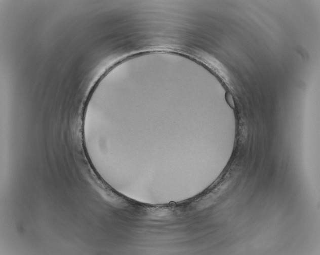 X0000110991332200907311002